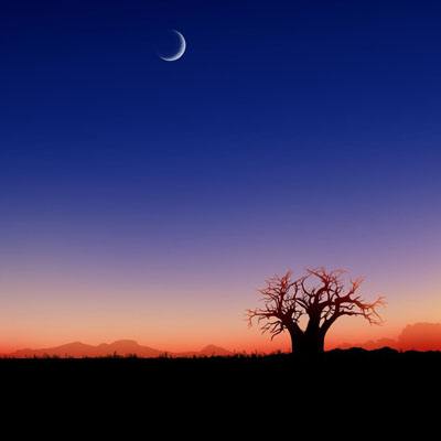 天博体育官网下载入口